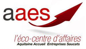 LOGO FINAL AAES