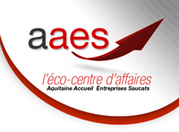 logo AAES