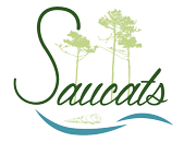 Lire la suite à propos de l’article Le Forum de l’Habitat dans le Saucatais #109 – Juillet 2016