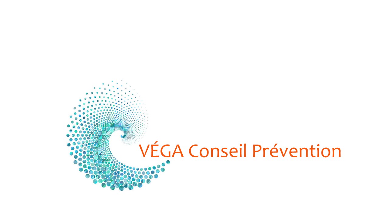 You are currently viewing VEGA CONSEIL PREVENTION