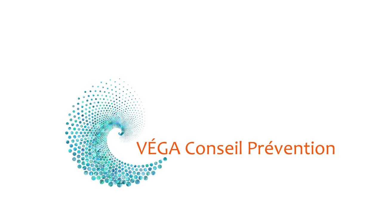 Lire la suite à propos de l’article VEGA CONSEIL PREVENTION